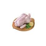 Fresh Chicken